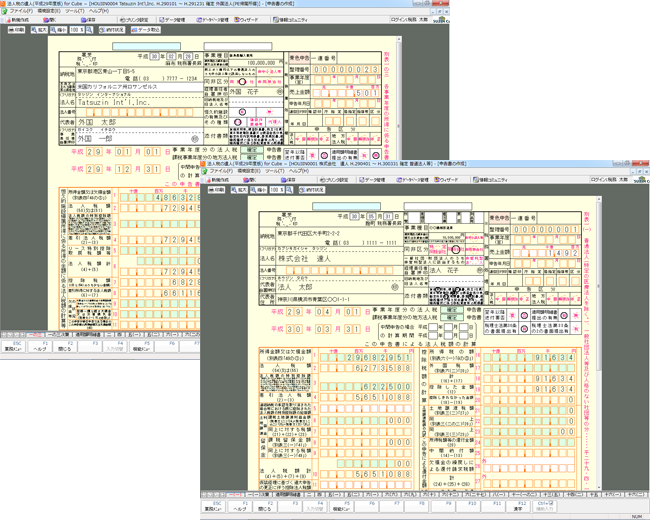 申告書作成画面イメージ